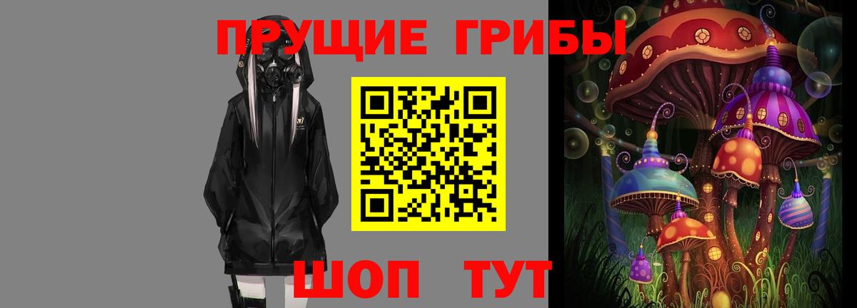 закладка  Вход с VPN  Зерноград  Псилоцибиновые грибы GOLDEN TEACHER 